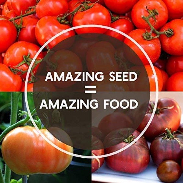 7 Varieties Non-GMO Organic Slicing Heirloom Tomato Seeds - Beefst...