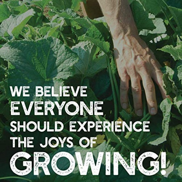 Green Lettuce Seeds: 1 Lb - Non-GMO Vegetable Garden & Microgreens...