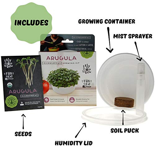 Mini Microgreens Growing Kit - Arugula - Grow Your Own Organic Gou...