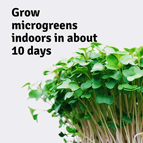 Mini Microgreens Growing Kit - Arugula - Grow Your Own Organic Gou...