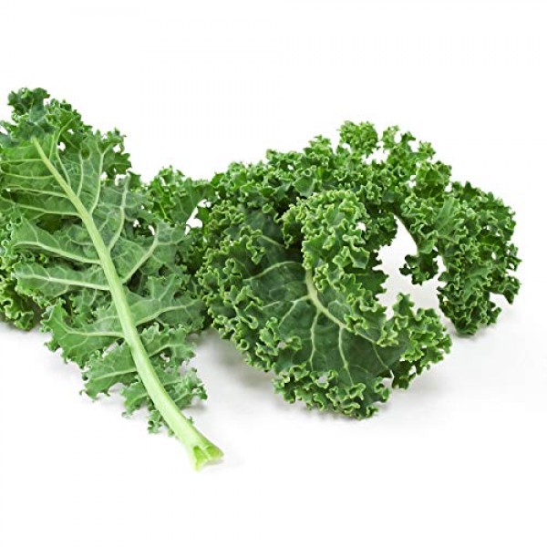 Mountain Valley Seed Company Kale Garden Seeds - Vates Blue Scotch...