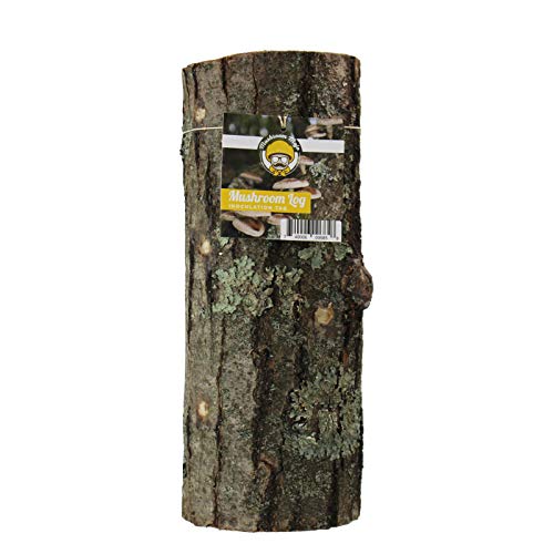 Mushroom Mojo Shiitake Mushroom Log - 12 Inch - Grow Edible Gourme...