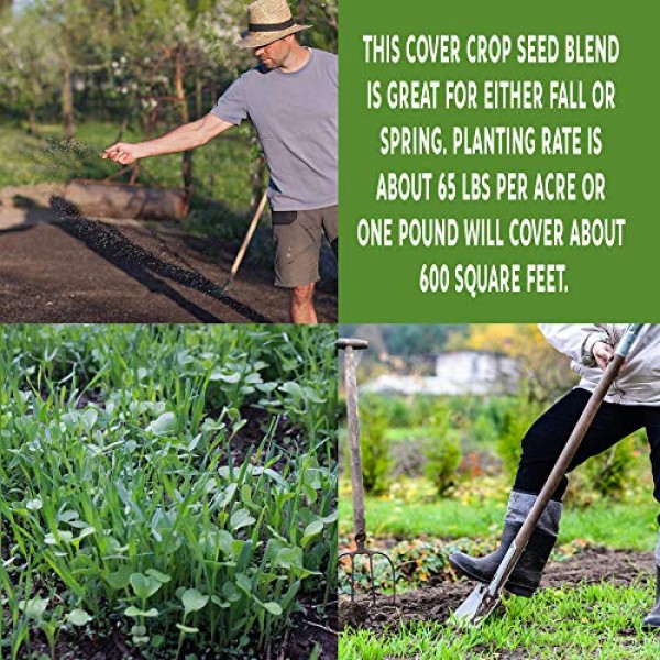 No-Till Farm and Garden Cover Crop Mix Seeds - 1 Lbs - Blend of Ga...