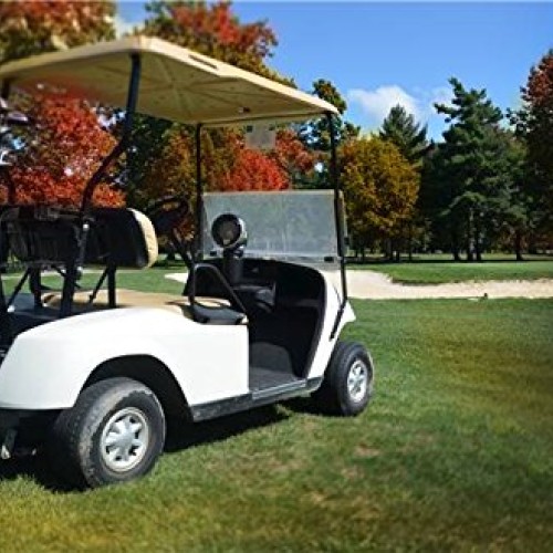 Mr. Heater F242010 MH4GC Golf Cart Heater,Silver and Black