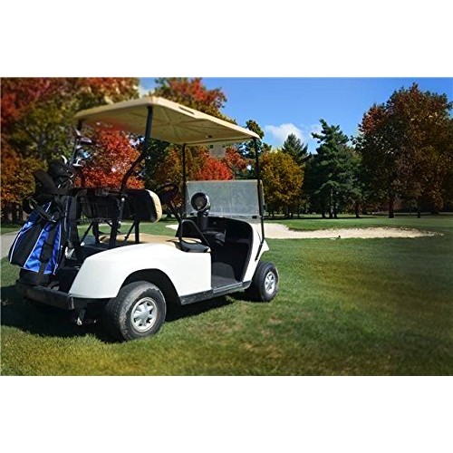 Mr. Heater F242010 MH4GC Golf Cart Heater,Silver and Black