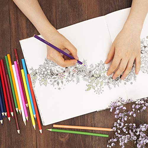 Mr. Pen- Colored Pencils, 36 Pack, Color Pencil Set, Color Pencils...