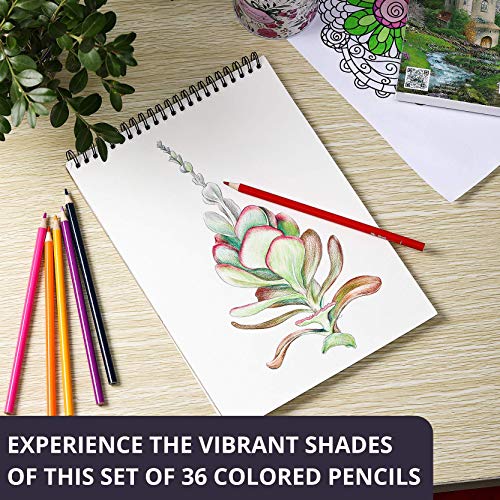 Mr. Pen- Colored Pencils, 36 Pack, Soft Core, Colored Pencils for ...