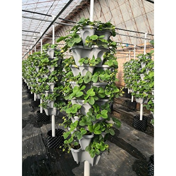 5-Tier Strawberry and Herb Garden Planter - Stackable Gardening Po...