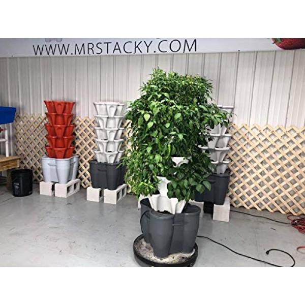 Mr. Stacky Smart Farm - Automatic Self Watering Garden - Grow Fres...