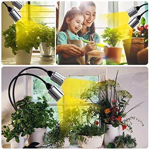 75W COB LED Grow Light, Mrhua Full Spectrum Grow Lights for Indoor...