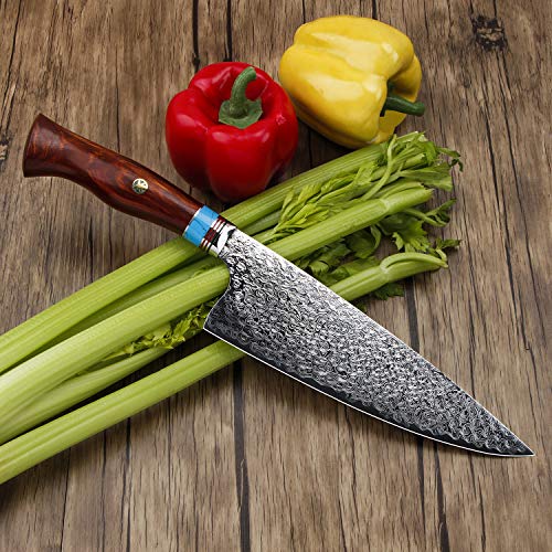 MSY BIGSUNNY Chef Knife - Super Steel 67 Layers Damascus Steel - 8...