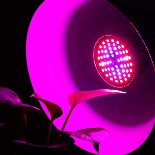 Full Spectrum E26 LED Grow Light Bulb, 60W Grow Plant Light for Hy...