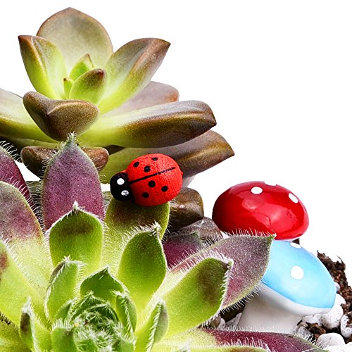 Mudder 64 Pieces Fairy Miniature Garden Ornaments, Mushrooms Set, ...