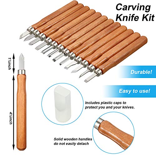 Wood Carving Tools for Beginners, 12 Pieces Wood Carving Knife wit...