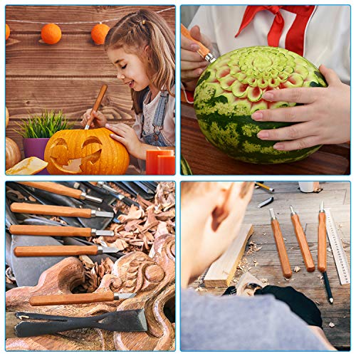 Wood Carving Tools for Beginners, 12 Pieces Wood Carving Knife wit...