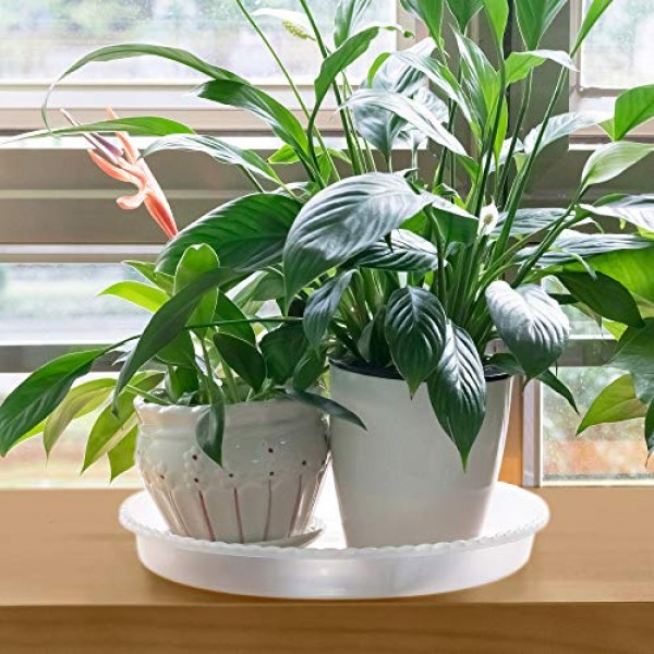 Made of Thicker with Taller Design Durable Plastic Plant Trays for Indoors MUDEELA 6 Pack of 15 inch Plant Saucer Clear Plastic Flower Plant Pot Saucer Stronger Plastic