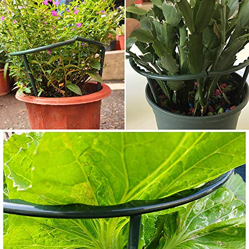 10 Pack Plant Support Plant Stakes, Metal Half Round Plant Support...