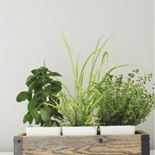 Reclaimed Wood Planter Box with Metal Brackets Large - 36