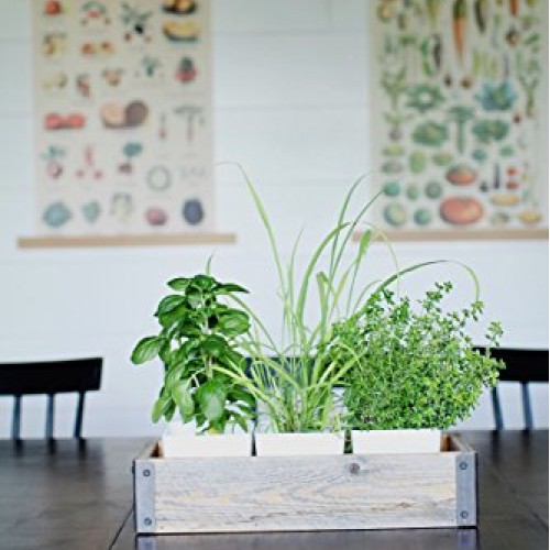 Reclaimed Wood Planter Box with Metal Brackets Large - 36
