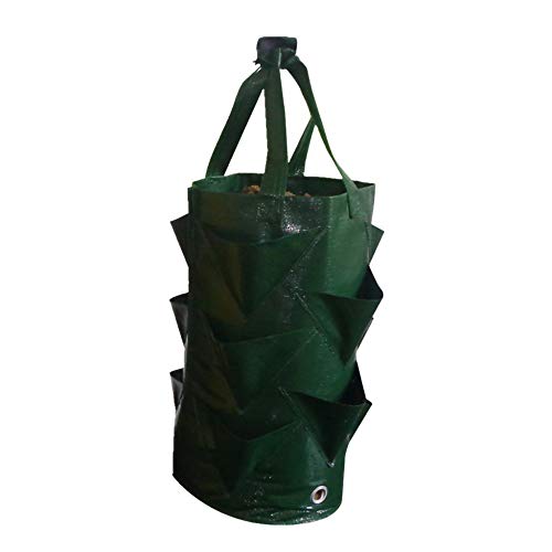 MY-COSE 3 Gallon Grow Bags,3 Pack Planting Pouch with Handles and ...