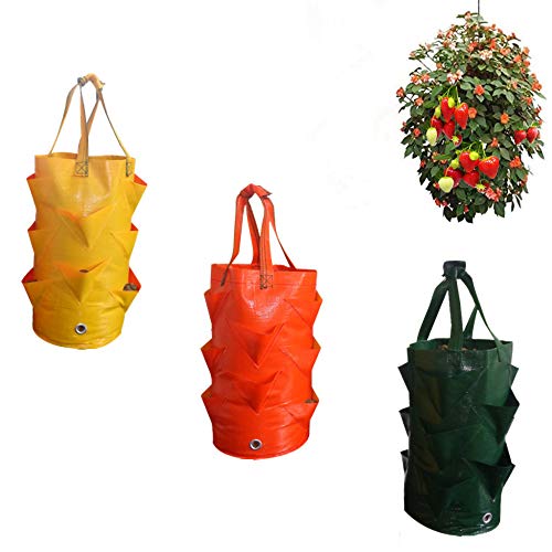MY-COSE 3 Gallon Grow Bags,3 Pack Planting Pouch with Handles and ...