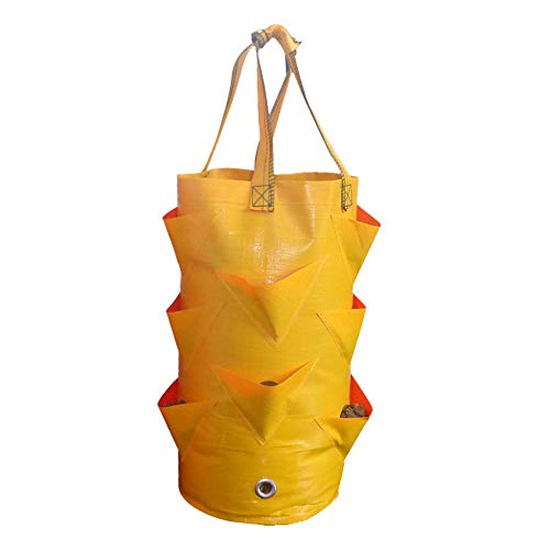 MY-COSE 3 Gallon Grow Bags,3 Pack Planting Pouch with Handles and ...