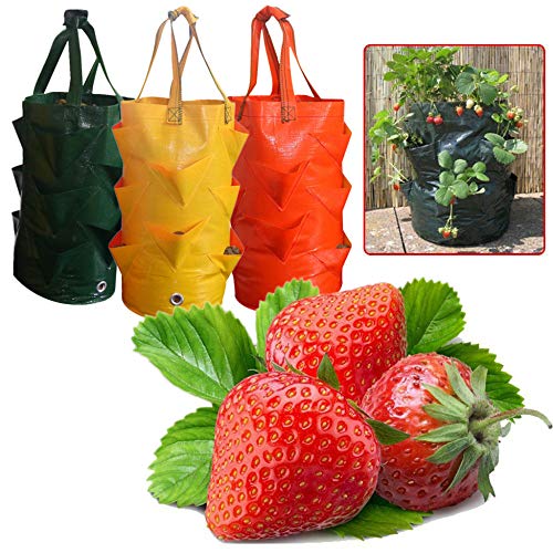 MY-COSE 3 Gallon Grow Bags,3 Pack Planting Pouch with Handles and ...