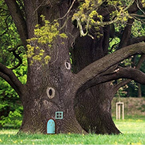 My Enchanting Garden Fairy Door and Fairy Window for Tree Trunk - ...