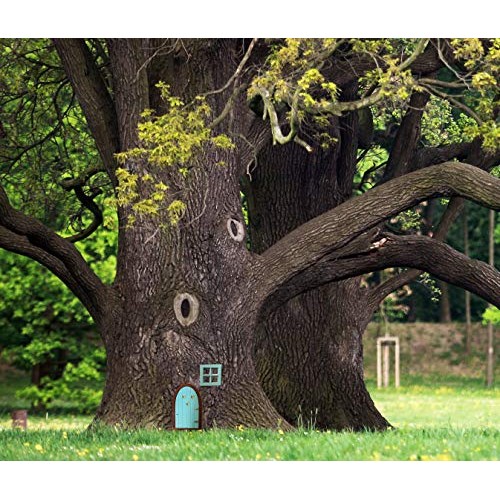 My Enchanting Garden Fairy Door and Fairy Window for Tree Trunk - ...