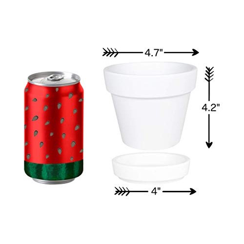 My Urban Crafts 4.7 Inch Plant Pots Indoor Set of 6 Round Ceramic ...