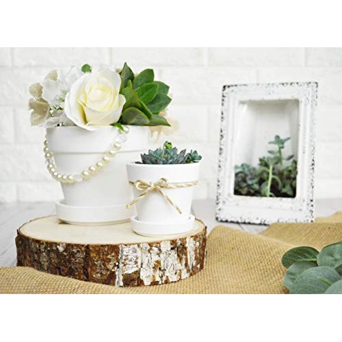 My Urban Crafts 4.7 Inch Plant Pots Indoor Set of 6 Round Ceramic ...