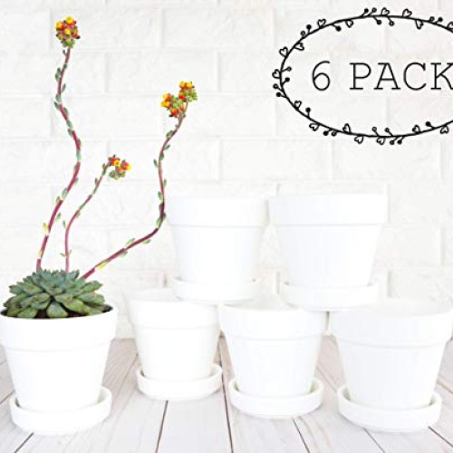 My Urban Crafts 4.7 Inch Plant Pots Indoor Set of 6 Round Ceramic ...