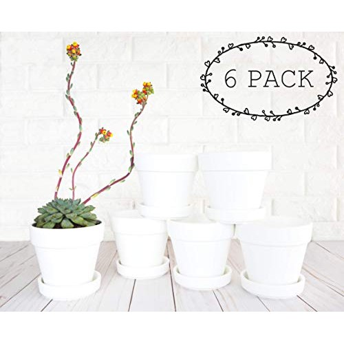 My Urban Crafts 4.7 Inch Plant Pots Indoor Set of 6 Round Ceramic ...