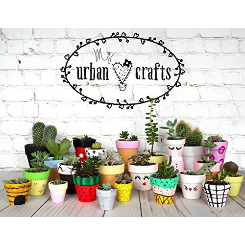 My Urban Crafts 4.7 Inch Plant Pots Indoor Set of 6 Round Ceramic ...