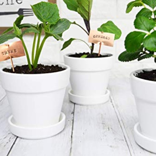 My Urban Crafts 4.7 Inch Plant Pots Indoor Set of 6 Round Ceramic ...