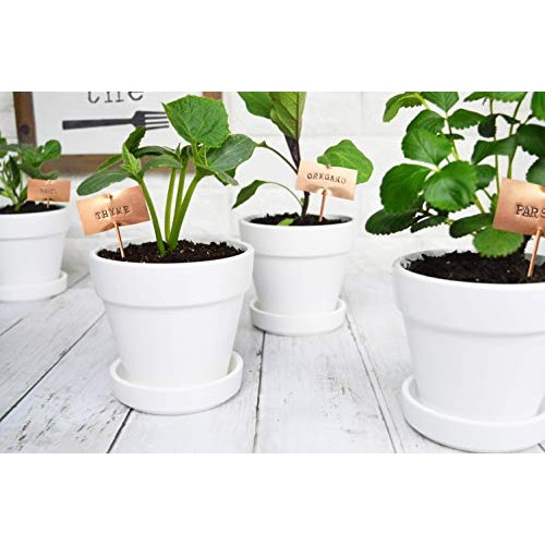 My Urban Crafts 4.7 Inch Plant Pots Indoor Set of 6 Round Ceramic ...