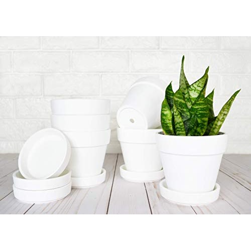My Urban Crafts 4.7 Inch Plant Pots Indoor Set of 6 Round Ceramic ...