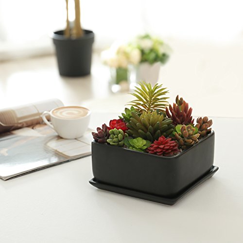 Modern 7 inch Square Ceramic Succulent Planter Pot with Drainage T...