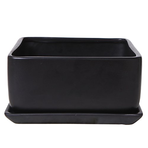 Modern 7 inch Square Ceramic Succulent Planter Pot with Drainage T...