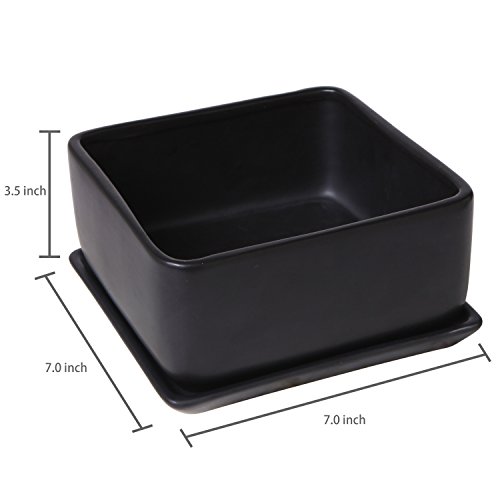 Modern 7 inch Square Ceramic Succulent Planter Pot with Drainage T...
