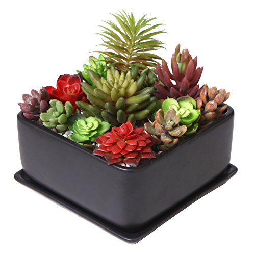 Modern 7 inch Square Ceramic Succulent Planter Pot with Drainage T...