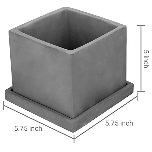 MyGift 5-inch Dark Gray Cement Cube Planters with Removable Trays,...