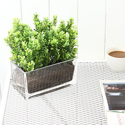 MyGift 7.5-Inch Modern Rectangular Clear Glass Trough Vase, Succul...