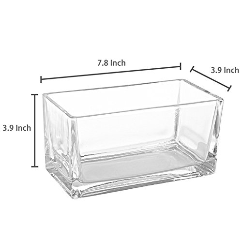 MyGift 7.5-Inch Modern Rectangular Clear Glass Trough Vase, Succul...