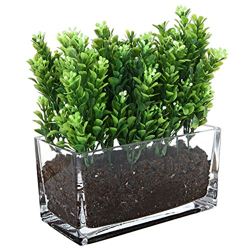 MyGift 7.5-Inch Modern Rectangular Clear Glass Trough Vase, Succul...