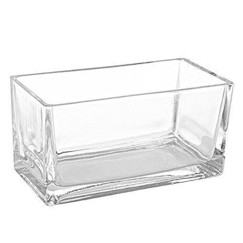MyGift 7.5-Inch Modern Rectangular Clear Glass Trough Vase, Succul...