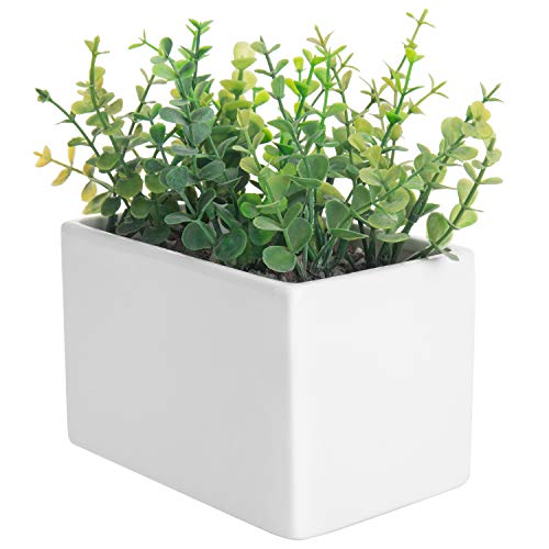 MyGift Modern White Ceramic Wall Hanging Succulent & Herb Planter ...