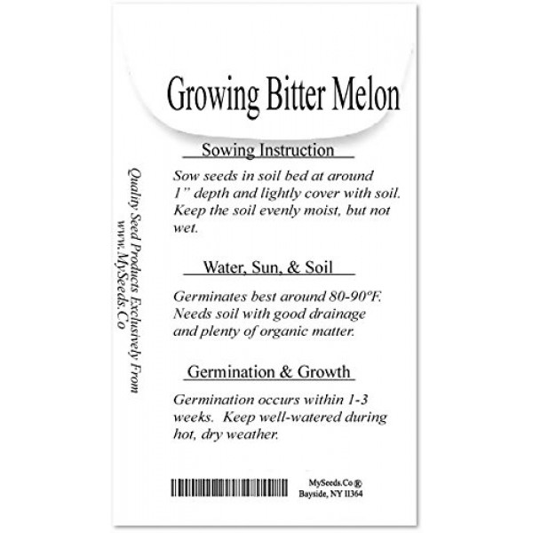 BIG PACK - 100 BITTER MELON Seeds - Mara Long Variety - OP - M...