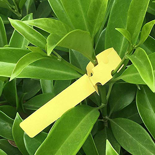 Mziart 120Pcs 6 Colors Plastic Plant Labels Wrap Around Tree Tags ...