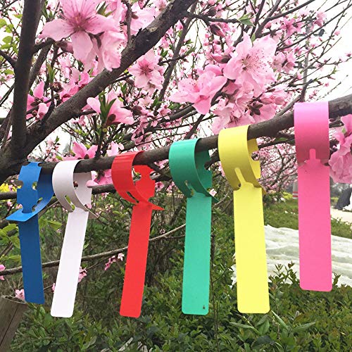 Mziart 120Pcs 6 Colors Plastic Plant Labels Wrap Around Tree Tags ...